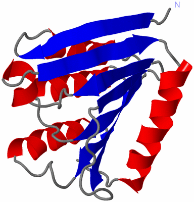 Image Asymmetric Unit