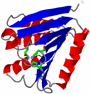 Image Asym. Unit - sites