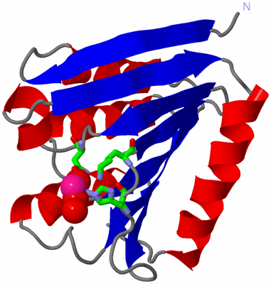 Image Asym. Unit - sites