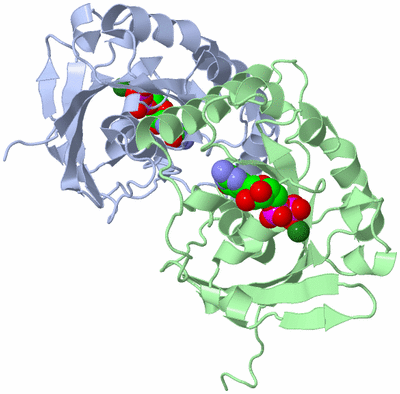 Image Asym./Biol. Unit