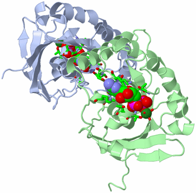 Image Asym./Biol. Unit - sites