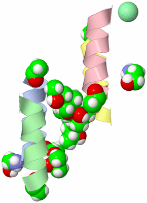 Image Asym./Biol. Unit