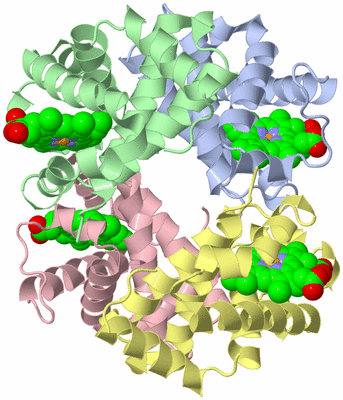 Image Asym./Biol. Unit