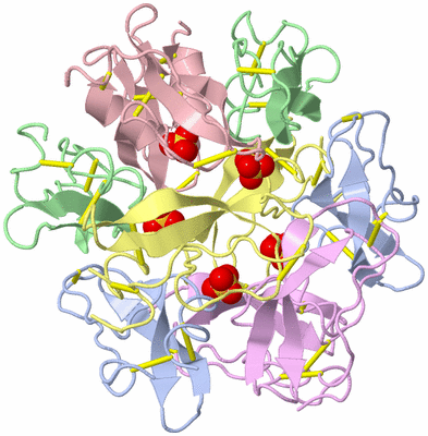 Image Biological Unit 1