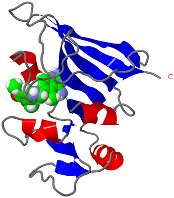 Image NMR Structure - model 1