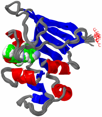 Image NMR Structure - all models