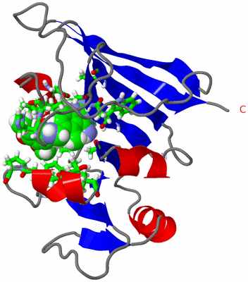 Image NMR Structure - model 1, sites