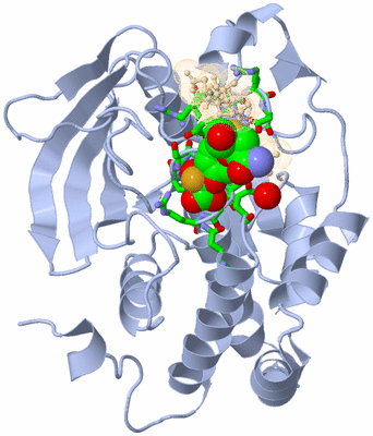 Image Asym./Biol. Unit - sites