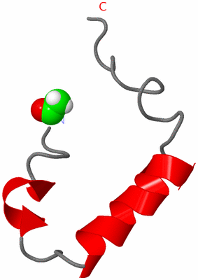 Image NMR Structure - model 1