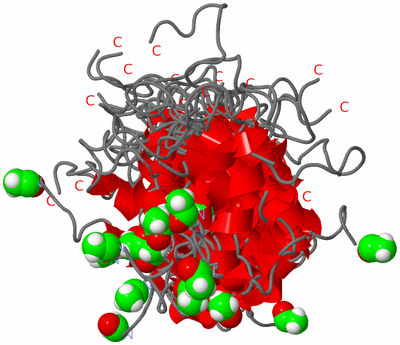 Image NMR Structure - all models