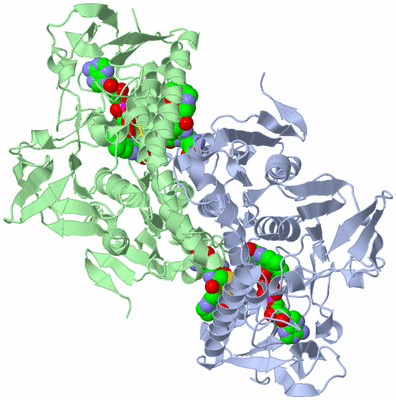 Image Asym./Biol. Unit