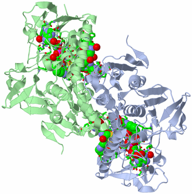 Image Asym./Biol. Unit - sites