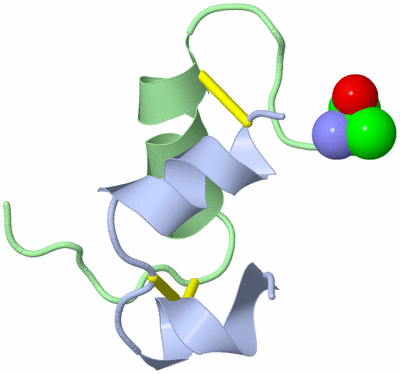 Image NMR Structure - model 1