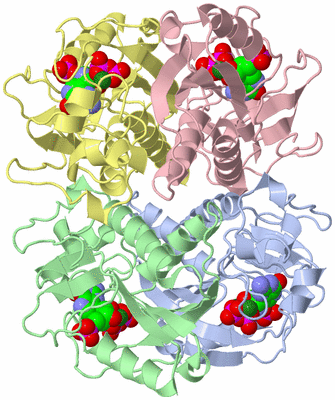 Image Asym./Biol. Unit