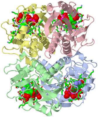 Image Asym./Biol. Unit - sites