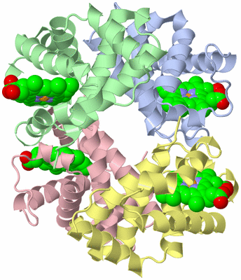 Image Asym./Biol. Unit