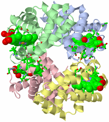 Image Asym./Biol. Unit - sites