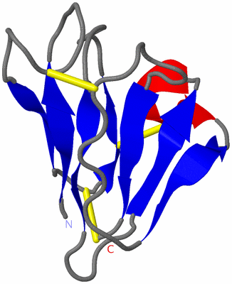 Image NMR Structure - model 1