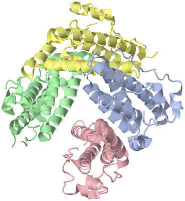 Image Asymmetric Unit