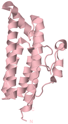 Image Biological Unit 3