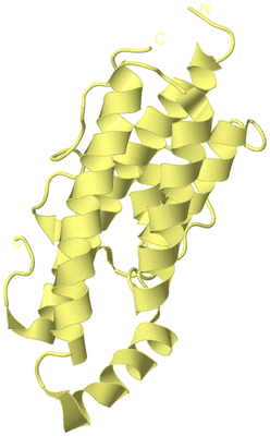 Image Biological Unit 4