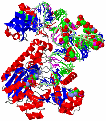 Image Asym./Biol. Unit