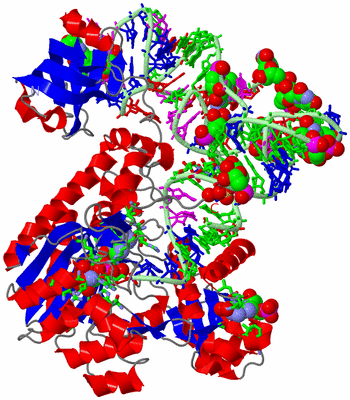 Image Asym./Biol. Unit - sites