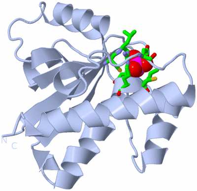 Image Biol. Unit 1 - sites