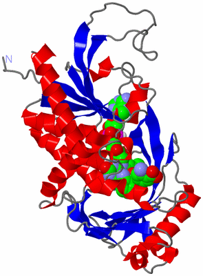 Image Asymmetric Unit