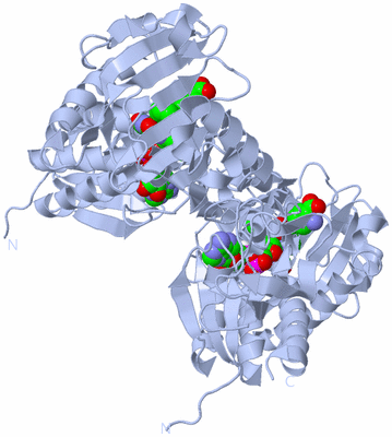 Image Biological Unit 1