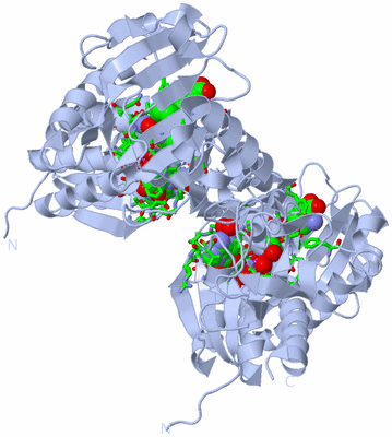 Image Biol. Unit 1 - sites