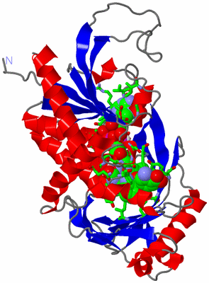 Image Asym. Unit - sites