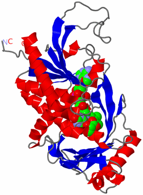 Image Asymmetric Unit