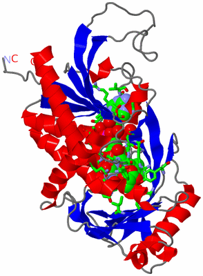 Image Asym. Unit - sites