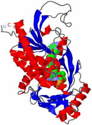 Image Asymmetric Unit