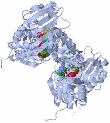 Image Biological Unit 1