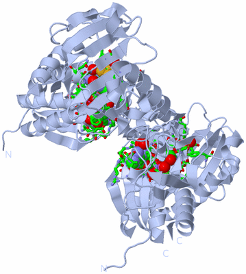 Image Biol. Unit 1 - sites