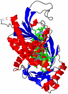 Image Asym. Unit - sites