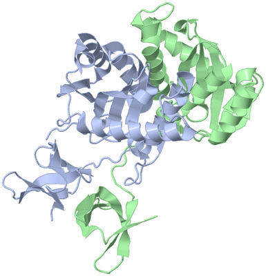 Image Biological Unit 1