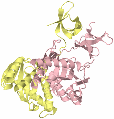 Image Biological Unit 2