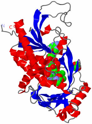Image Asymmetric Unit
