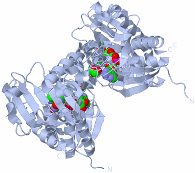 Image Biological Unit 1
