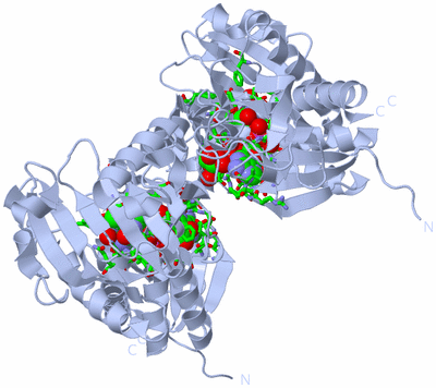 Image Biol. Unit 1 - sites