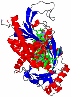 Image Asym. Unit - sites