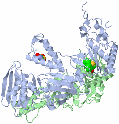 Image Asym./Biol. Unit