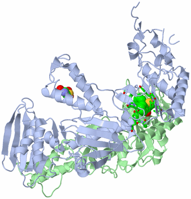 Image Asym./Biol. Unit - sites