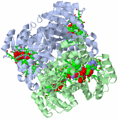 Image Biol. Unit 1 - sites