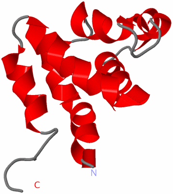 Image NMR Structure - model 1