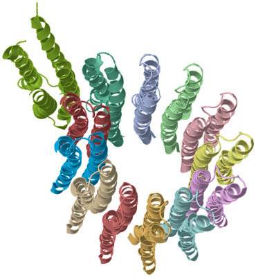 Image NMR Structure - model 1