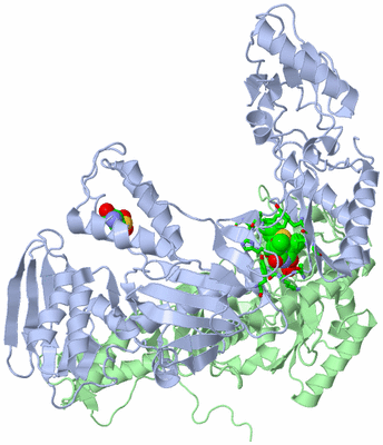 Image Asym./Biol. Unit - sites